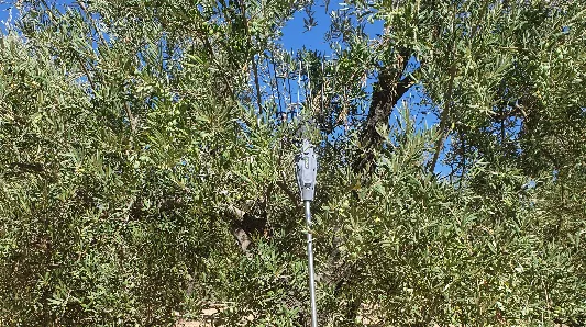 Vareadores a batería y eléctricos